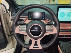 BYD Seagull Glory Edition 305km Freedom Version - ფოტო 10