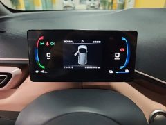 BYD Seagull Glory Edition 305km Freedom Version - ფოტო 11