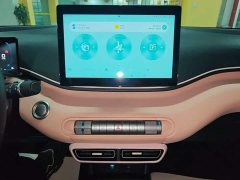 BYD Seagull Glory Edition 305km Freedom Version - ფოტო 12