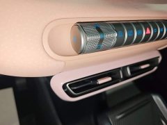 BYD Seagull Glory Edition 305km Freedom Version - ფოტო 13