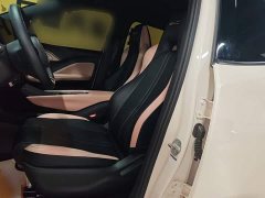 BYD Seagull Glory Edition 305km Freedom Version - ფოტო 14
