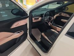 BYD Seagull Glory Edition 305km Freedom Version - ფოტო 15