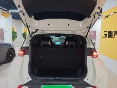 BYD Seagull Glory Edition 305km Freedom Version - ფოტო 18