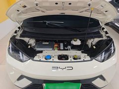 BYD Seagull Glory Edition 305km Freedom Version - ფოტო 19