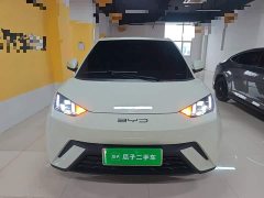 BYD Seagull Glory Edition 305km Freedom Version - ფოტო 2