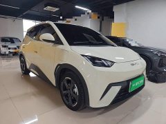 BYD Seagull Glory Edition 305km Freedom Version - ფოტო 3