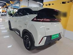 BYD Seagull Glory Edition 305km Freedom Version - ფოტო 4