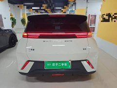 BYD Seagull Glory Edition 305km Freedom Version - ფოტო 5