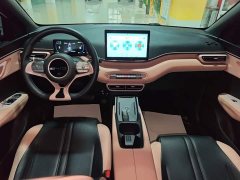 BYD Seagull Glory Edition 305km Freedom Version - ფოტო 9