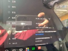 Tesla Model Y Rear-Wheel Drive - ფოტო 12