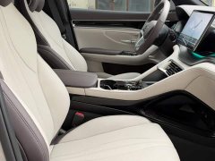BYD Song Plus New Energy 2025 EV 520km Premium Edition - ფოტო 19