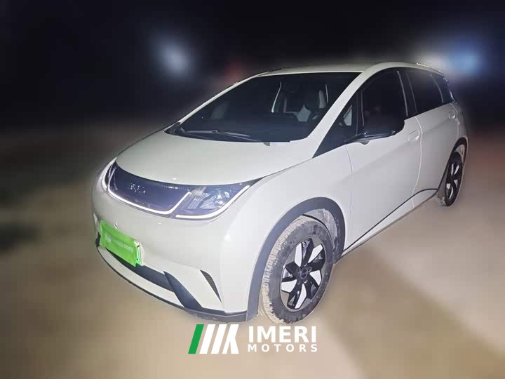 BYD Dolphin 420km Freedom Edition - ავტომობილი ჩინეთიდან