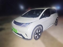 BYD Dolphin 420km Freedom Edition - ფოტო 1