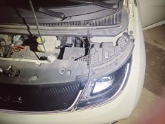 BYD Dolphin 420km Freedom Edition - ფოტო 19