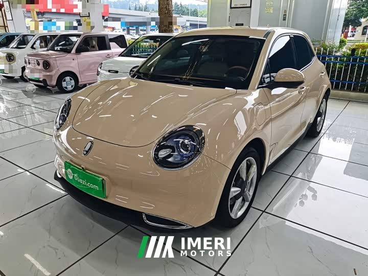 ORA Good Cat 2023 401km Standard Range Luxury LFP - ავტომობილი ჩინეთიდან