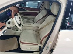ORA Good Cat 2023 401km Standard Range Luxury LFP - ფოტო 14