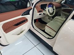 ORA Good Cat 2023 401km Standard Range Luxury LFP - ფოტო 15