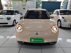 ORA Good Cat 2023 401km Standard Range Luxury LFP - ფოტო 2