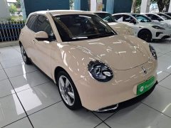 ORA Good Cat 2023 401km Standard Range Luxury LFP - ფოტო 3