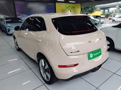 ORA Good Cat 2023 401km Standard Range Luxury LFP - ფოტო 4
