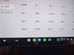 Xiaomi SU7 Rear-Wheel Drive Ultra-Long Range Advanced Autonomous Driving Pro - ფოტო 11