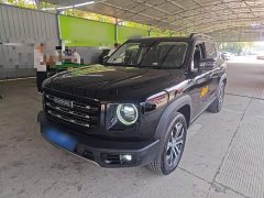 Great Wall Dachshund 2022 1.5T DCT Two-Wheel Drive Border Collie Edition - ფოტო 1