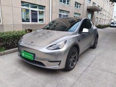 Tesla Model Y Long Range All-Wheel Drive - ფოტო 1