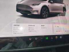 Tesla Model Y Long Range All-Wheel Drive - ფოტო 11