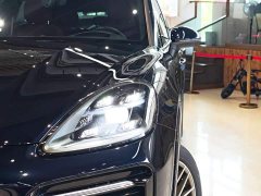 Porsche Cayenne S 2.9T Platinum Edition - ფოტო 13