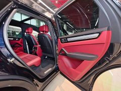Porsche Cayenne S 2.9T Platinum Edition - ფოტო 19