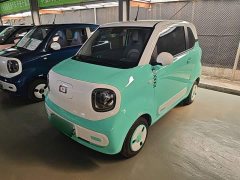 FAW Besturn Xiaoma 170km Vitality Edition - photo 1