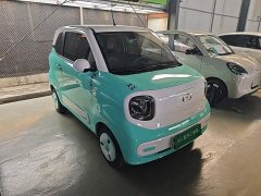 FAW Besturn Xiaoma 170km Vitality Edition - photo 4