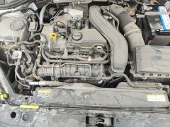 Volkswagen Bora 300TSI DSG Respect Edition - ფოტო 20