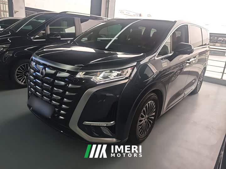 Denza D9 DM-i 1050 Premium