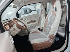 FAW Besturn Xiaoma 222km Cute Horse Plus - ფოტო 15