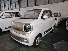 FAW Besturn Xiaoma 222km Cute Horse Plus - ფოტო 2