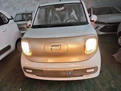 FAW Besturn Xiaoma 222km Cute Horse Plus - ფოტო 3