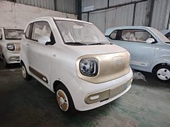 FAW Besturn Xiaoma 222km Cute Horse Plus - ფოტო 4