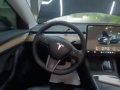 Tesla Model 3 Rear-Wheel Drive - ფოტო 10