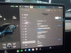Tesla Model 3 Rear-Wheel Drive - ფოტო 11