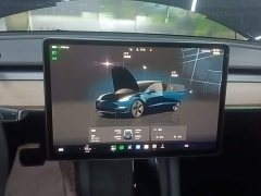Tesla Model 3 Rear-Wheel Drive - ფოტო 12