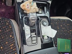 GAC Aion M8 Master Series 400T Prestige Edition - ფოტო 16