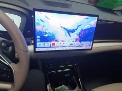 BYD Han 2025 DM-i 125KM Luxury - ფოტო 12