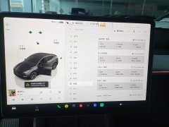 Tesla Model Y Rear-Wheel Drive - ფოტო 12