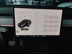 Tesla Model Y Rear-Wheel Drive - ფოტო 13