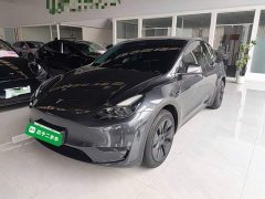Tesla Model Y Rear-Wheel Drive - ფოტო 2