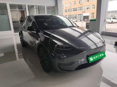 Tesla Model Y Rear-Wheel Drive - ფოტო 4