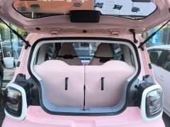 FAW Besturn Xiaoma 2026 222km Cute Horse - ფოტო 18
