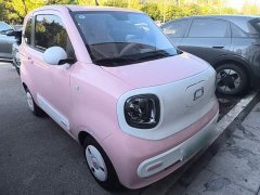 FAW Besturn Xiaoma 2026 222km Cute Horse - ფოტო 3