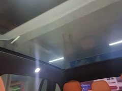 Li Auto L6 Pro Smart Refresh Edition - ფოტო 17